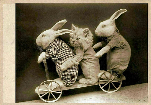 亲子关系_www.rui-ling.com