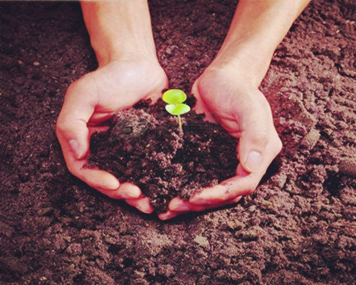 青少年心理健康知识讲座