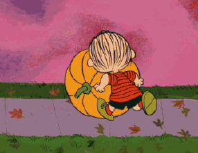 青少年心理咨询-青春期孩子常见问题