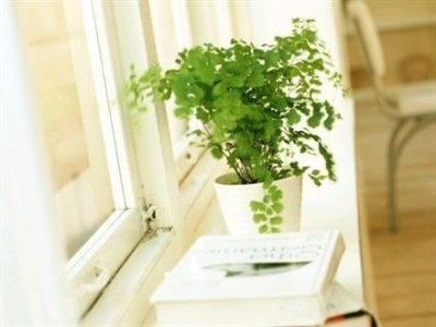 癔症型人格障最常见的六大原因