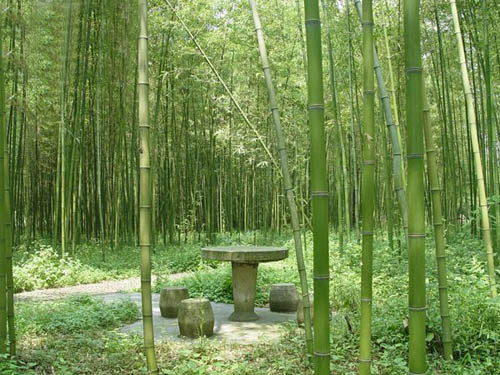 考试焦虑,家长也有责任!