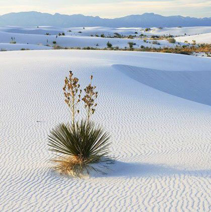 职场新人五点禁忌！