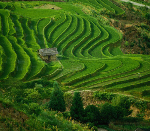 宅男宅女为什么容易抑郁？