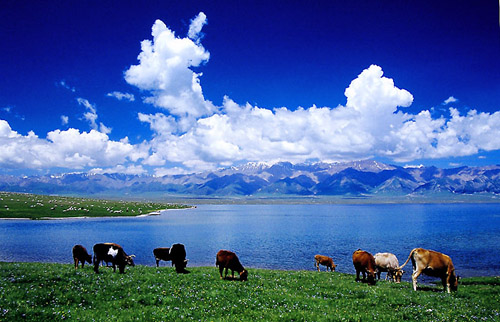 什么是余光恐惧症？