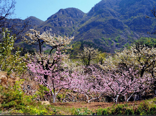 心理疗法战胜强迫症