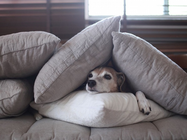 心理咨询|http://www.rui-ling.com