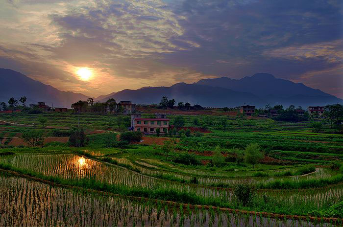 上海心理咨询_http://www.rui-ling.com