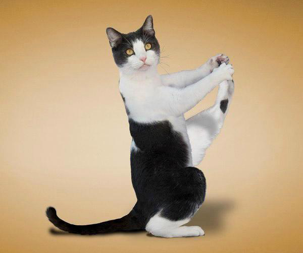 离婚怎么对孩子说