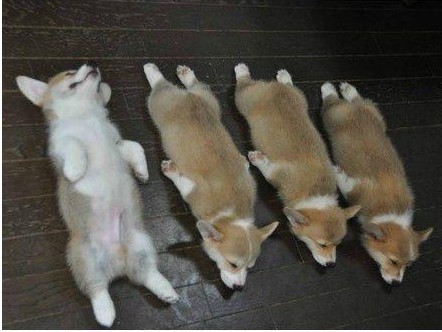 厌学一定有对策