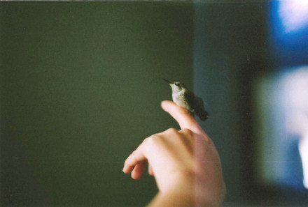 警惕！优等生变”差生”背后的原因